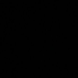 Meet your Posher, Luan